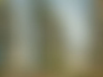 🎯 Cómo atraer clientes calificados sin desperdiciar tiempo ni dinero