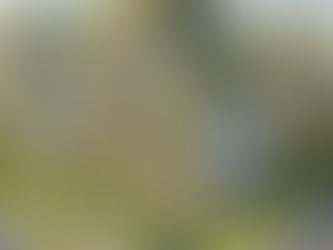 🚀 Estrategia 360°: Integrando marketing digital, presencial y referidos.