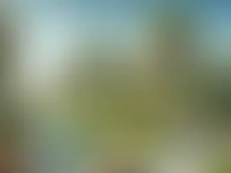 📍 La ubicación no lo es todo: Otros factores que influyen en la decisión de compra.