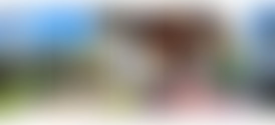 Vender una propiedad en Argentina puede parecer un desafío, pero con la estrategia adecuada, es posible lograr una transacción exitosa y satisfactoria.