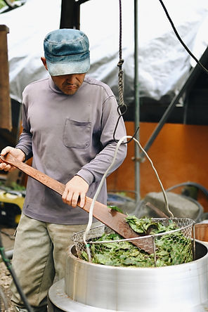 藍甕晩茶3.JPG