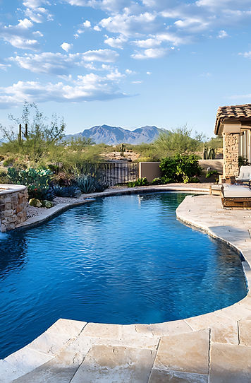 Luxurious backyard with a kidney-shaped pool and stone hot tub