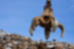 A large metal claw grips a heap of scrap metal, showcasing industrial machinery in a recycling environment
