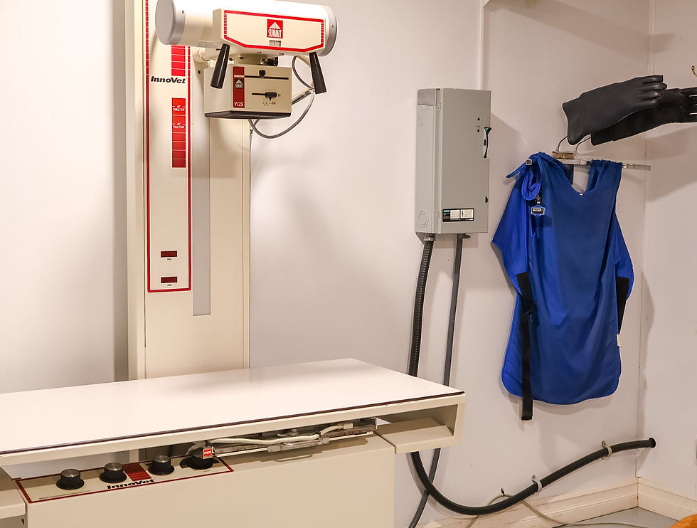 A veterinary X-ray room showing an X-ray machine, a blue lead apron, and gloves hanging on the wall