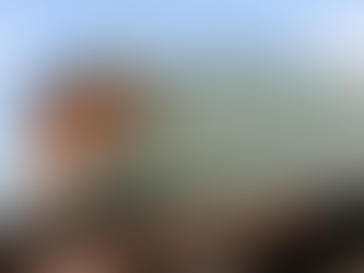 Toiture en métal : une solution durable pour le climat québécois