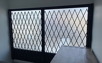 Double Gate - Black.jpg