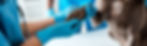 A veterinarian in blue scrubs gently holds a dog's paw, both wearing blue gloves