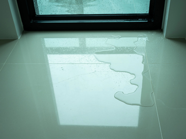 Why Insurance Companies Are Pushing for Flood Detection Systems