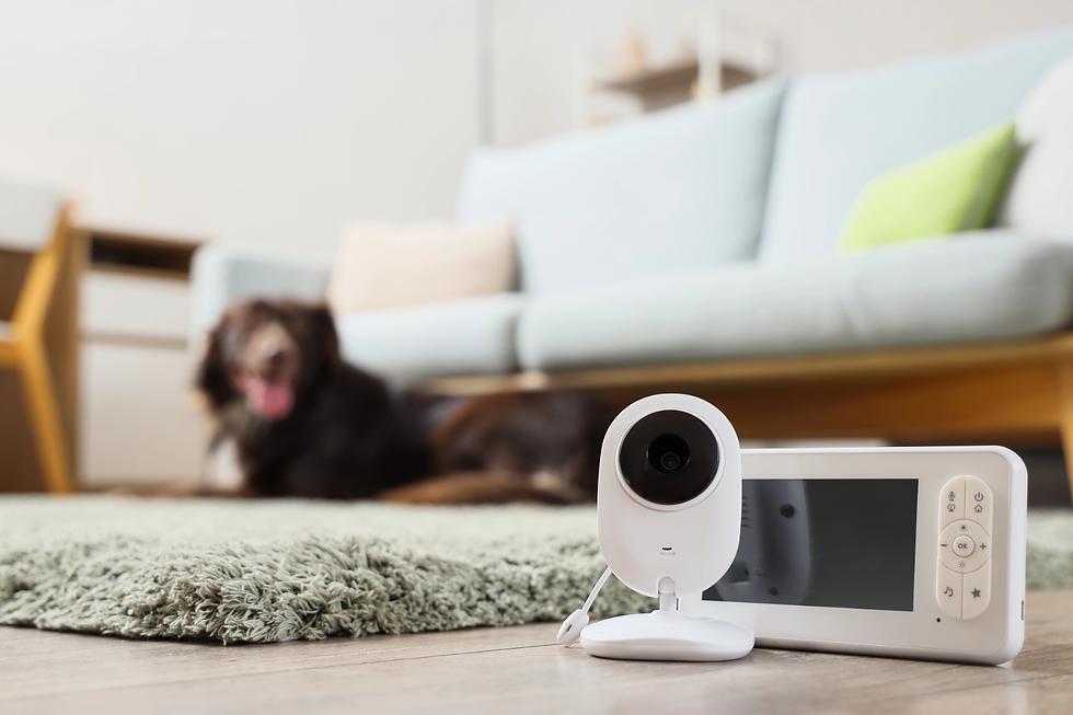 Smart Security for Pet Owners: No More False Alarms