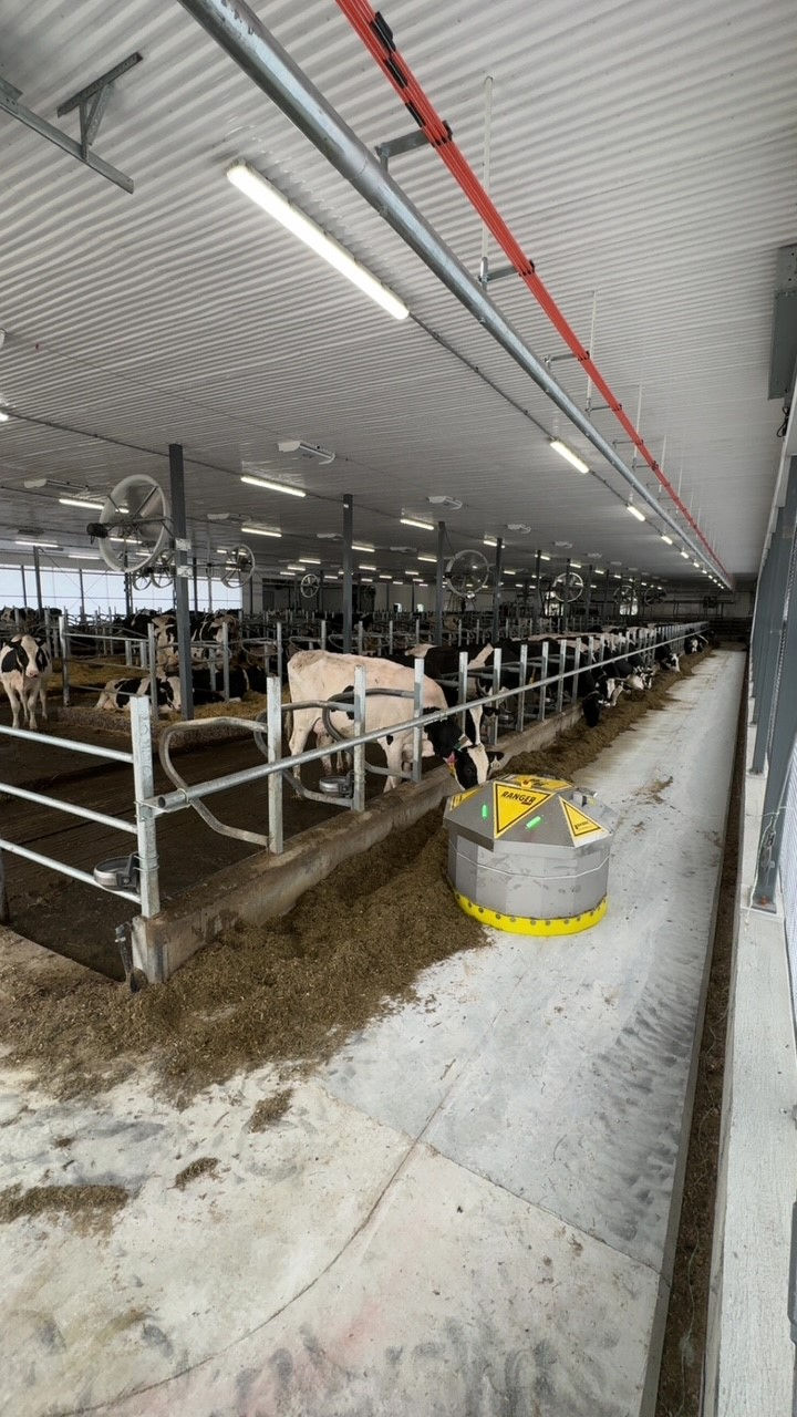 Un intérieur de grange moderne avec des vaches noires et blanches dans des stalles