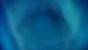 PROFESSIONNELS DE L'ÉCRITURE