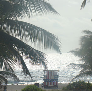 Florida - Roadtrip door de Sunshine State