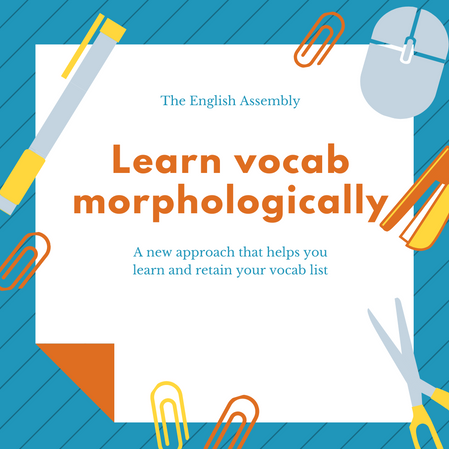 Refine the way you learn vocabulary with Mr. Morphology