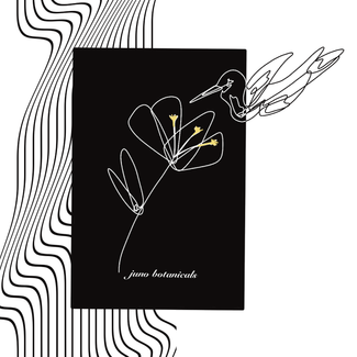 juno botanicals thumbnail-01.png