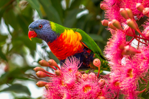 mitchgreenphotos.com