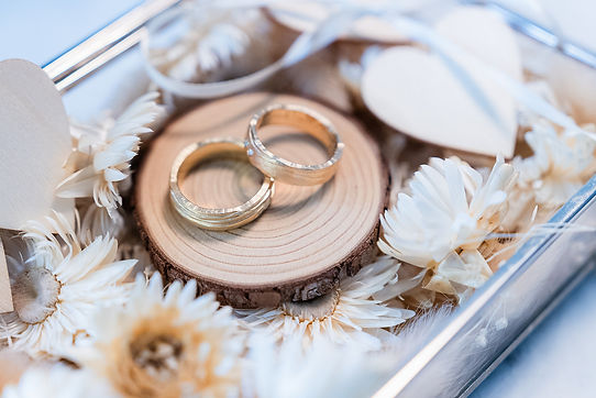 DSC02909_websize (1).jpg