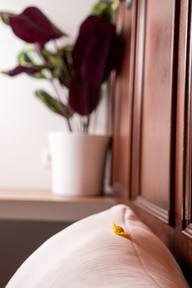 innenräume fotograf