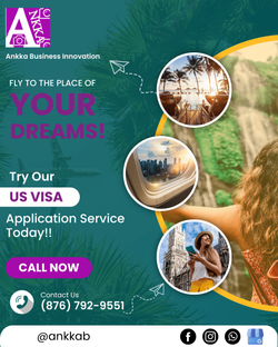 travel, plane tickets, passport, visa, usa, ankka business innovation 