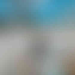 An infant in a blue hiking backpack is propped up in a snowy, sunlit train with an illustrated childrens book showing a mother and baby bear in the snow