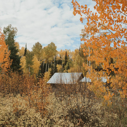 A serene woodland cabin peeks through golden and orange aspen trees amidst an autumn woodland setting under a partly cloudy sky