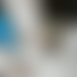 The Family Gratitude Walk: A Simple Outdoor Tradition To Start Today