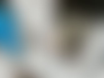 The Family Gratitude Walk: A Simple Outdoor Tradition To Start Today