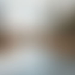 A serene frozen river surrounded by tall trees and dry grass, under a cloudy sky, evokes a peaceful, wintry landscape.