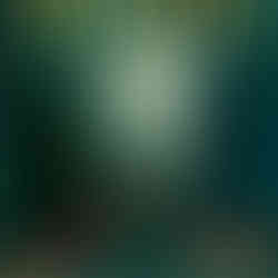 Moon Peek Through Surprise Book with a twilight illustration of animals running through the forest under the moon