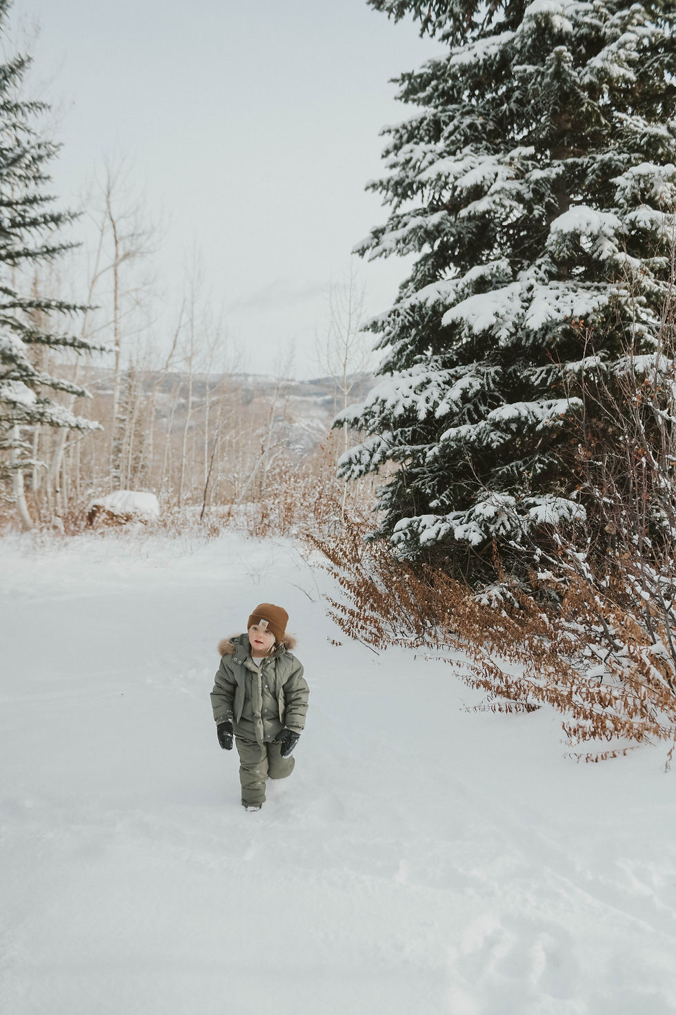 Child in winter wear walks through snowy forest with tall, snow-covered trees and bare branches; overcast sky adds a calm mood.