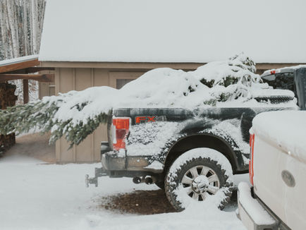 A snow-covered black pickup truck with a large Christmas tree in the back parked near a cabin in a snowy landscape. The truck's side reads "FX4."