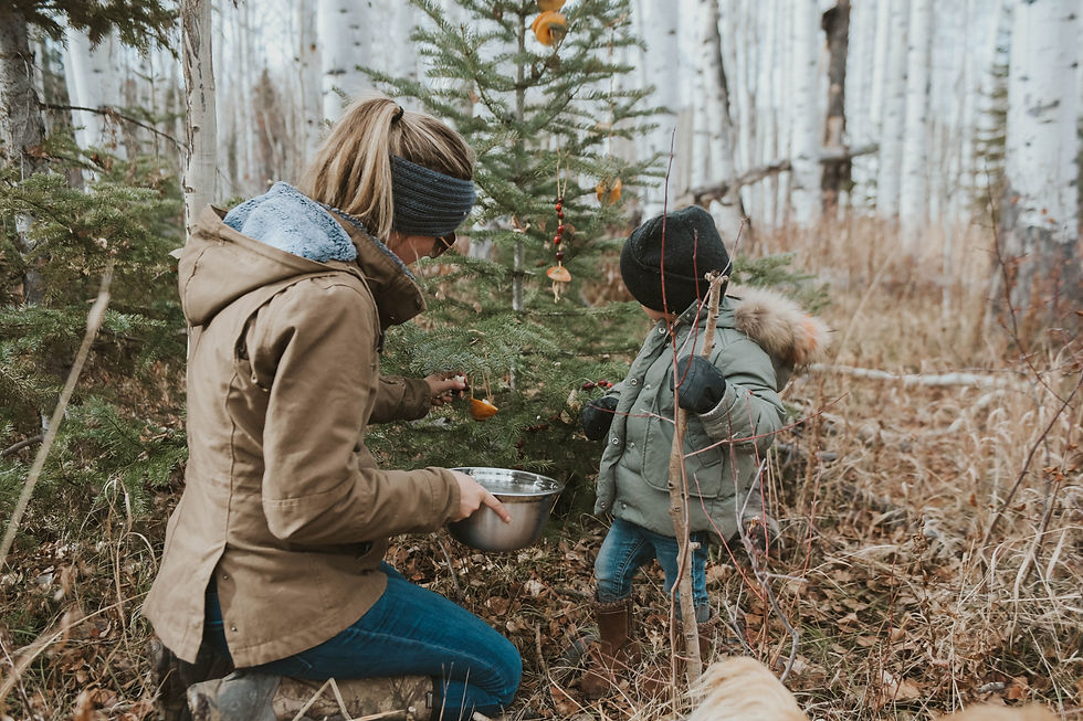 Woman and child in winter coats decorate a small evergreen tree with fruit in a forest. Grey aspen trees form the background.