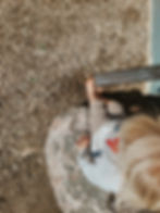 Child with blonde hair sits barefoot on a gravel-covered ground, touching a large boulder near a black drainpipe. Sunny outdoor setting.