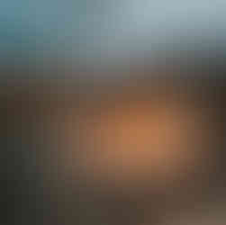 A campfire in an established fire pit surrounded by rocks burns at dusk in a desert setting, with bare trees and the silhouette of buttes in the distance