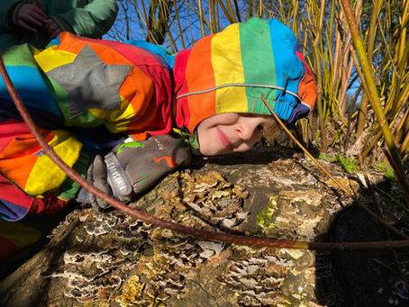 A child investigating nature