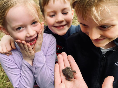 The Value of Free Play