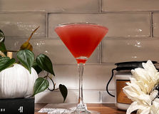 Spiced Cranberry Martini