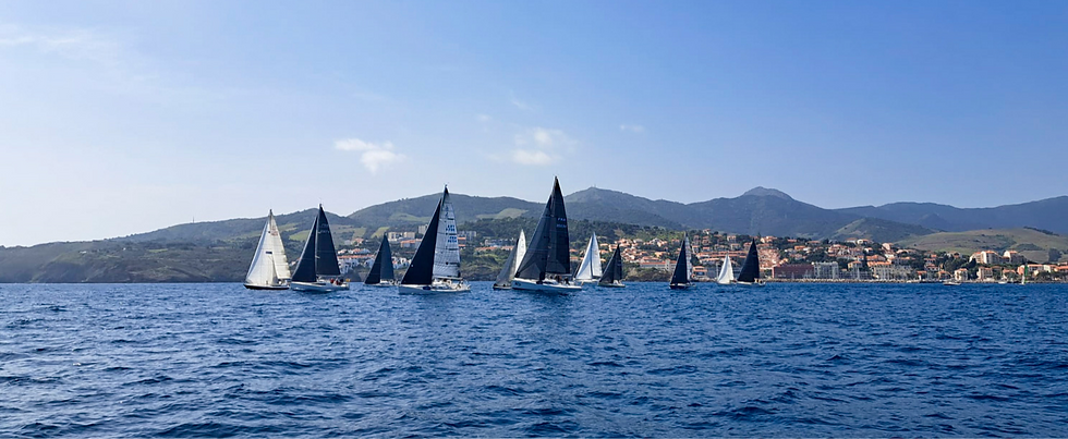 Banyuls 1bis AI_edited.png