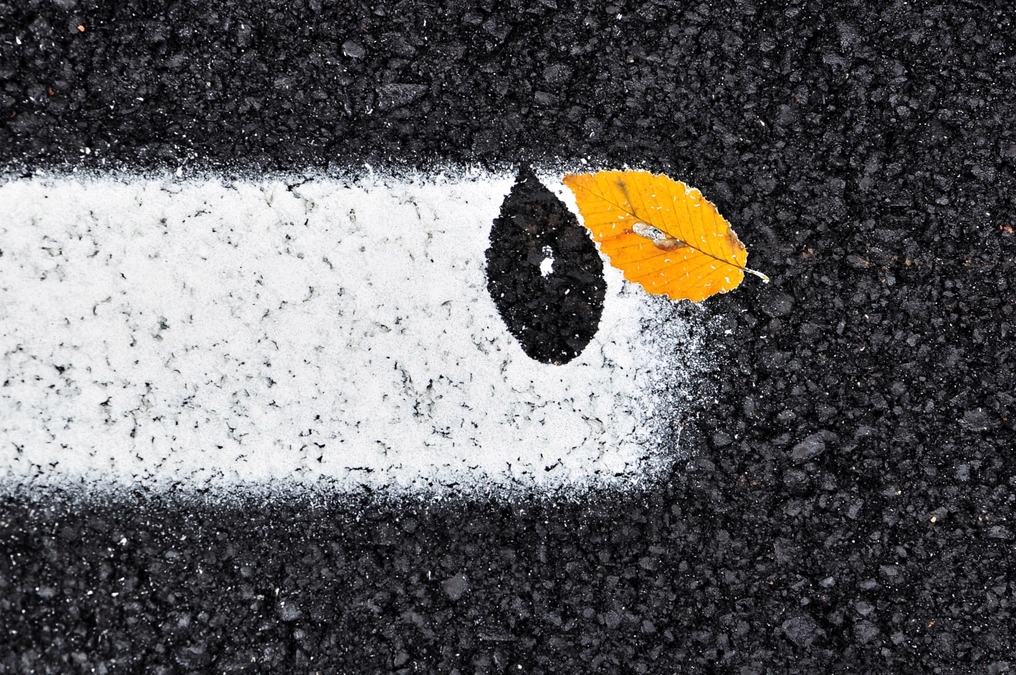 street photography people photo candid foliage