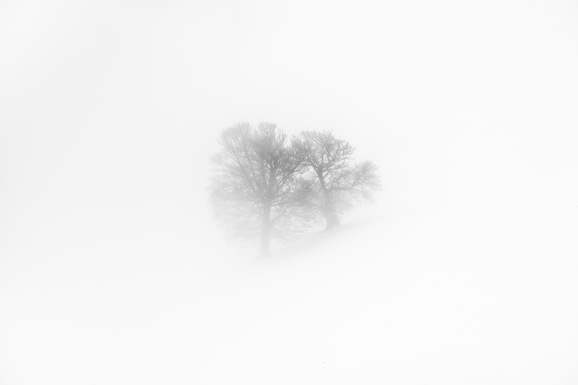 landscape nature photography mist clouds fog haze winter 