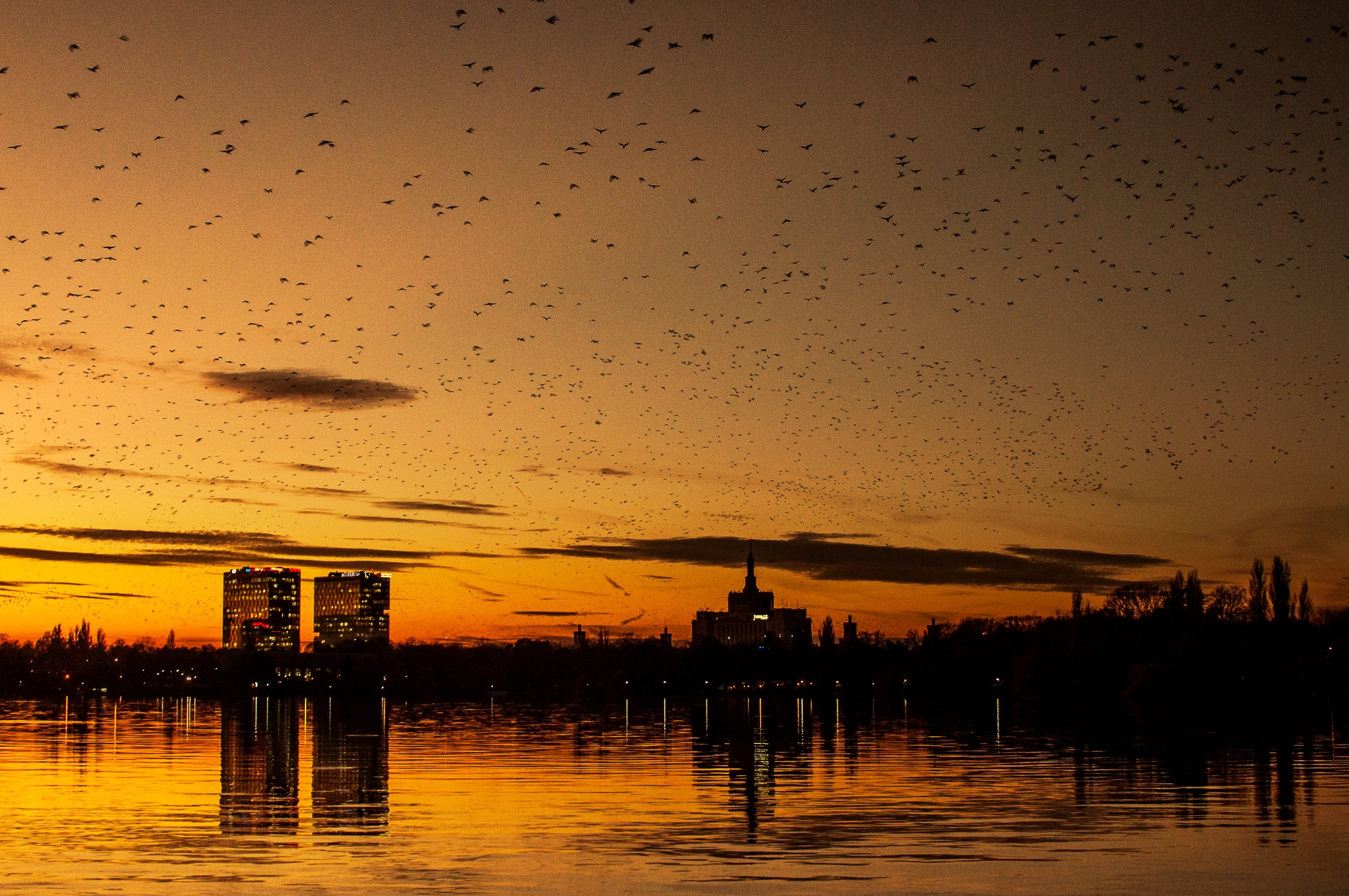 architecture photography texture light color cityscape cityview urban windows city
