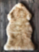 Thumbnail: White with brown tips