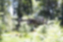 Drone (UAV).jpg