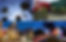 WHBH-background copy.jpg