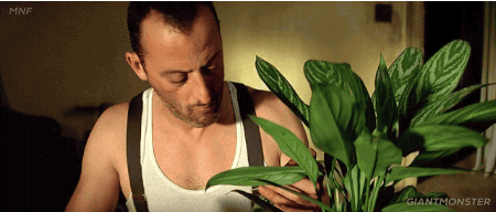 Léon the professional GIF