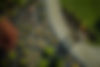 landscape-specialist-finishing-newly-developed-gar-2023-11-27-05-34-39-utc (1)_edited.jpg