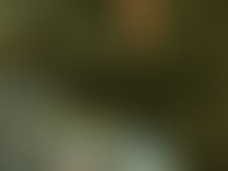 k d j s e l e c t . 0 9