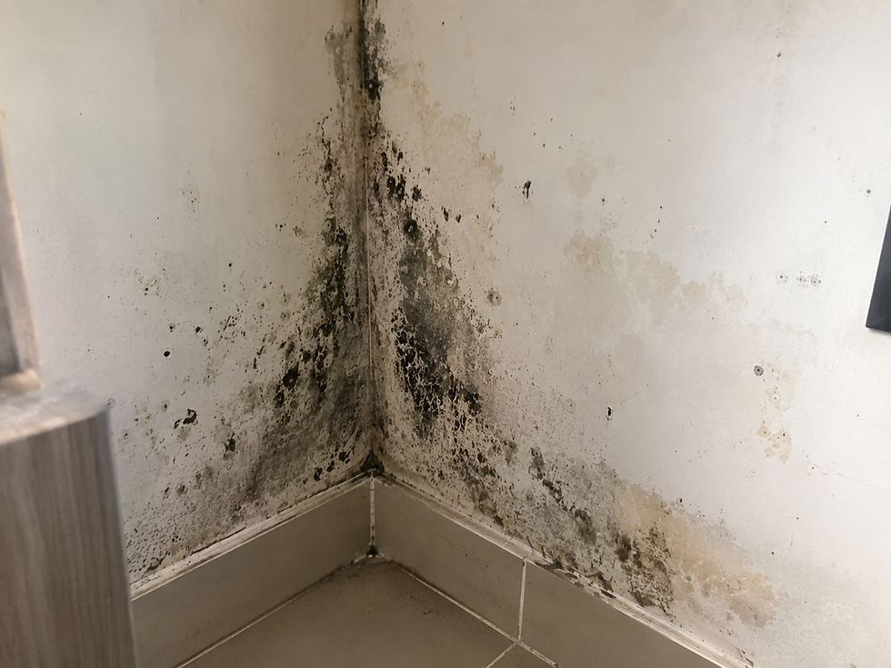 Mold and water damage on a white bathroom corner wall above gray tile baseboard, with black and tan stains spreading upward