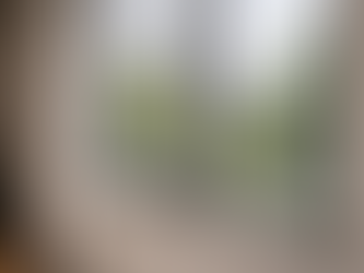 Why Mould Keeps Appearing Near Your Windows Even Without Any Leaks