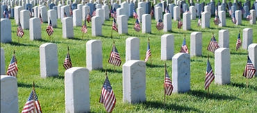 Screenshot 2026-03-13 100658_edited.jpg