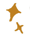 mouse graphic 2.png